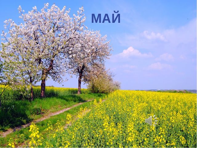 Презентация по экологии "К нам весна шагает"