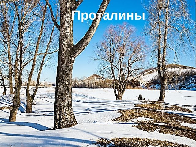 Презентация по экологии "К нам весна шагает"
