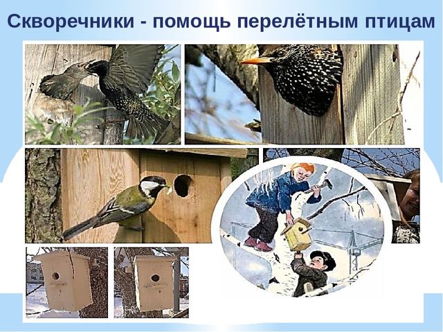 Презентация по экологии "К нам весна шагает"