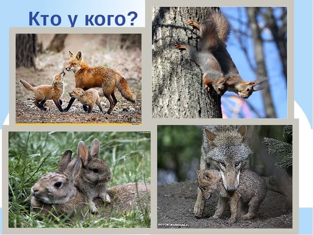 Презентация по экологии "К нам весна шагает"