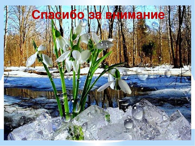 Презентация по экологии "К нам весна шагает"