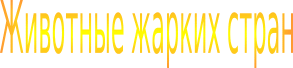 Shape1
