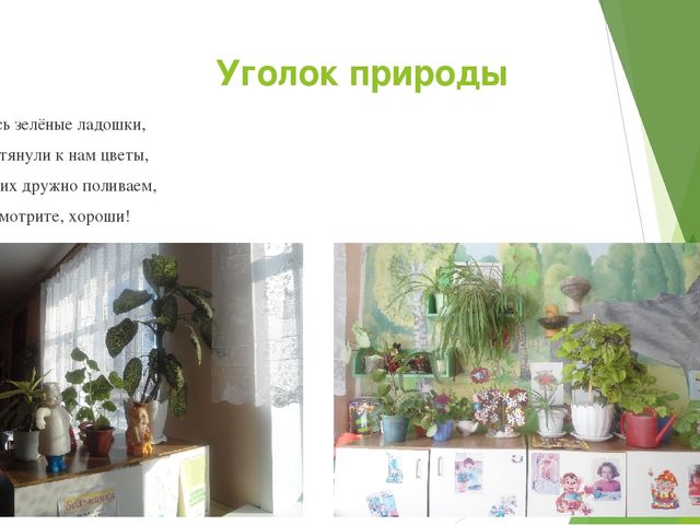 Презентация на тему предметно-развивающей среды