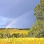 Всероссийский конкурс для воспитателей «За Родину»