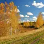 Всероссийский конкурс для воспитателей «Золотая осень»