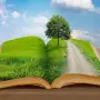 Всероссийский конкурс для воспитателей «Краеведение»