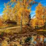 Всероссийский конкурс тематических методических разработок «Праздник осени»