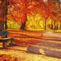 Всероссийский профессиональный конкурс «Волшебница Осень!»