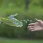 Всероссийский конкурс для воспитателей «Природа и экологическая культура»