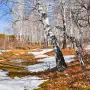 Всероссийский творческий конкурс для воспитателей «Весенние капели»